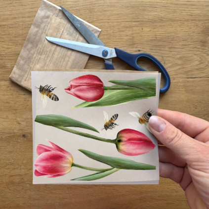 Vzorek nažehlovaček - Tulipány