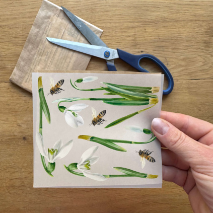 Vzorek nažehlovaček - Sněženky