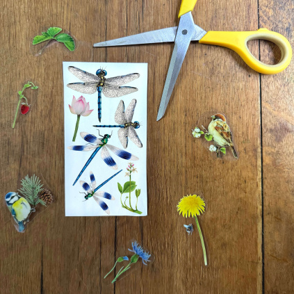 Vzorek magické samolepky - Vážky