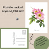Pohlednice - Růžová sada