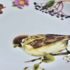 Porcelánový talíř 20,5 cm - Vrabec