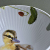 Porcelánová miska 650 ml - Kachnička