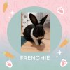 Frenchie