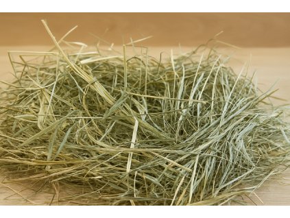 34F1C3EA DC0E 47A0 BAEE 81C0D43EFBDF