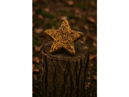 545A9989 41A9 4B4D 9463 7B86DAE31972