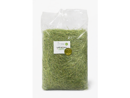 7245662B E3A0 4638 93C2 C2A89DC90AEB