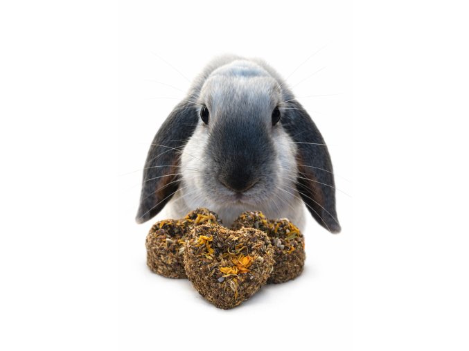 E94D8B86 10D1 4B95 997B E953F9900C15