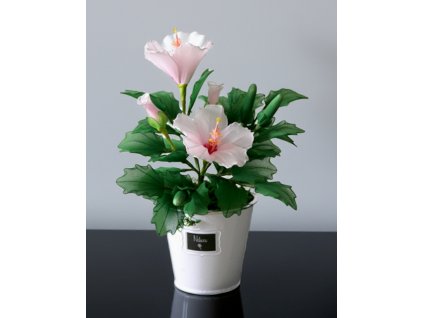 IB-01 stocking flower