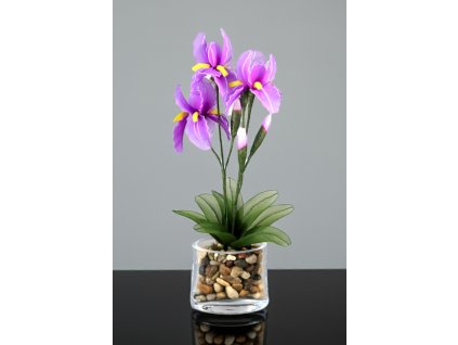 KD-09 violet stocking flower