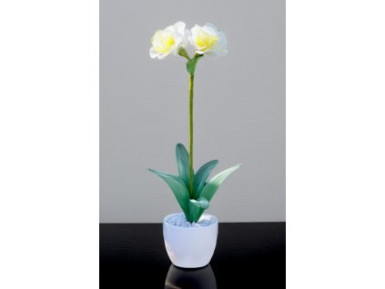 KD-01 stocking flower