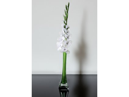 ME-01 white stocking flower