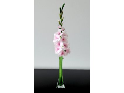 ME-01 pink stocking flower