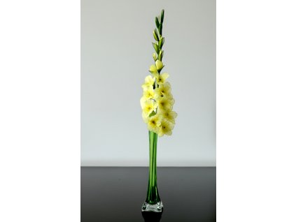 ME-01 yellow stocking flower