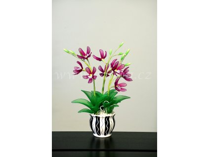 ORM-04 stocking flower