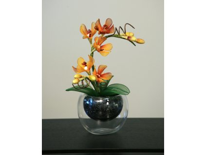 Miniatura zlatá orchidej