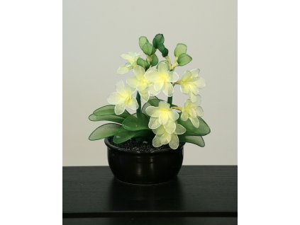 ORM-03 stocking flower