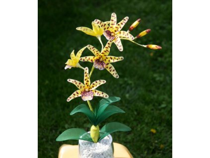 OR-11 stocking flower