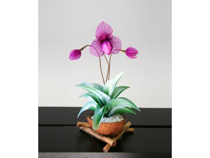 Orchidej v kokosu - fialová