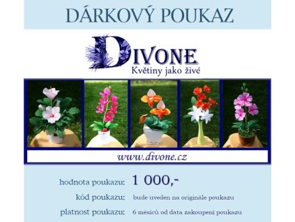 Dárkový poukaz 1000