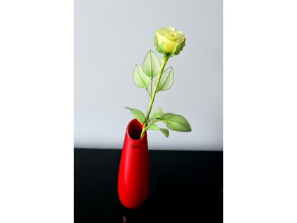 RVP-01 yellow pale stocking flower