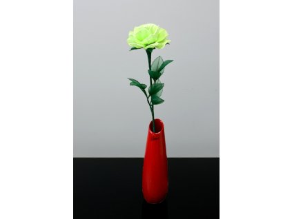 RV-01 green stocking flower