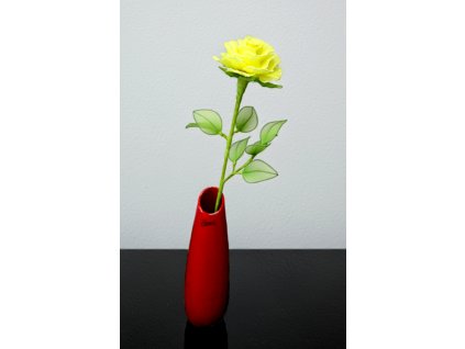 RV-01 yellow pale stocking flower