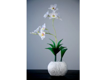 OR-07 stocking flower