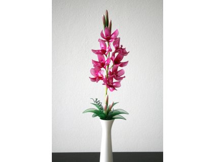 vysoká orchidej 4