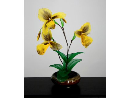 Orchidej žlutohnědá