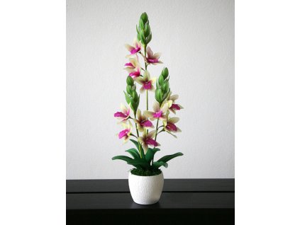 OR-20 stocking flower