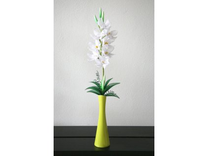 orchidej vysoká bílá
