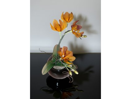 orchidej zlatohnědá2