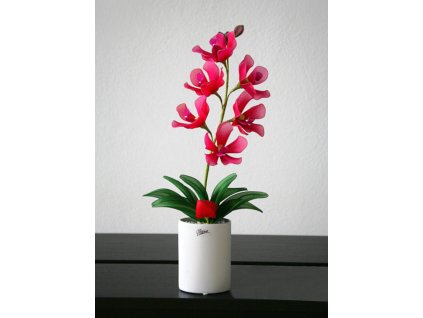 OR-15 stocking flower