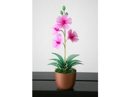 OR-20 stocking flower