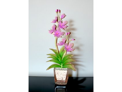orchidej světle růžová2