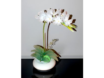 OR-04 white stocking flower