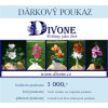 Dárkový poukaz 1000