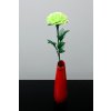 RV-01 green stocking flower