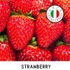 FA Strawberry / Jahoda