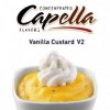 Vanilla Custard V2