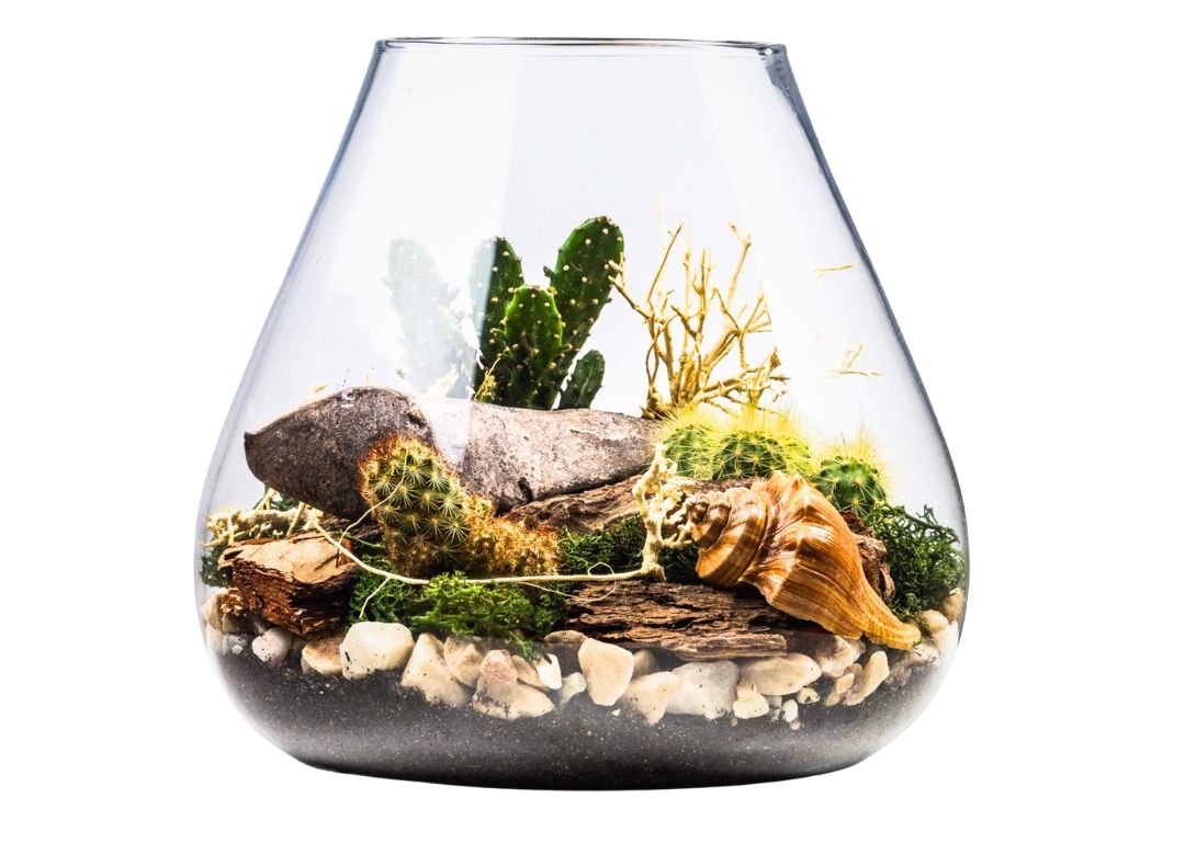 rastlinne-terarium-kaktusy-23cm