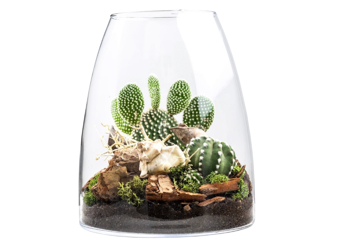 rastlinne-terarium-kaktusy-28cm