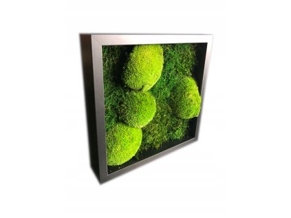 Dekoračný machový obraz 25x25