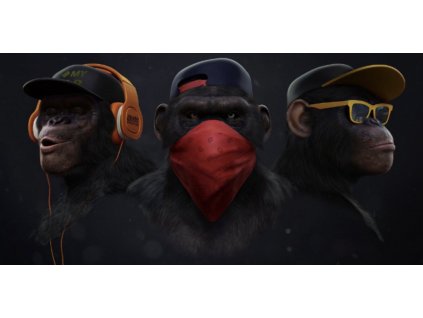 Obraz na plátne Tri múdre opice 1