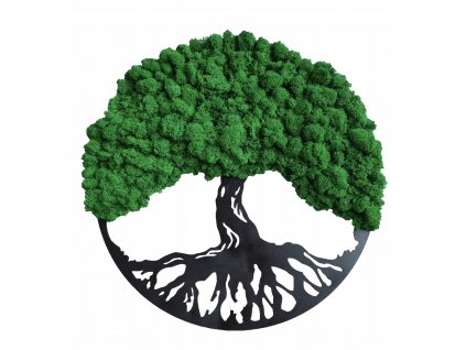 3D obraz z dreva a stabilizovaného lišajníka Strom života IV