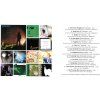 Savage The Original Maxi Singles Collection (2014)+++