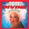 Divine Shoot Your Shot (The Divine Anthology) (2CD) (2016)