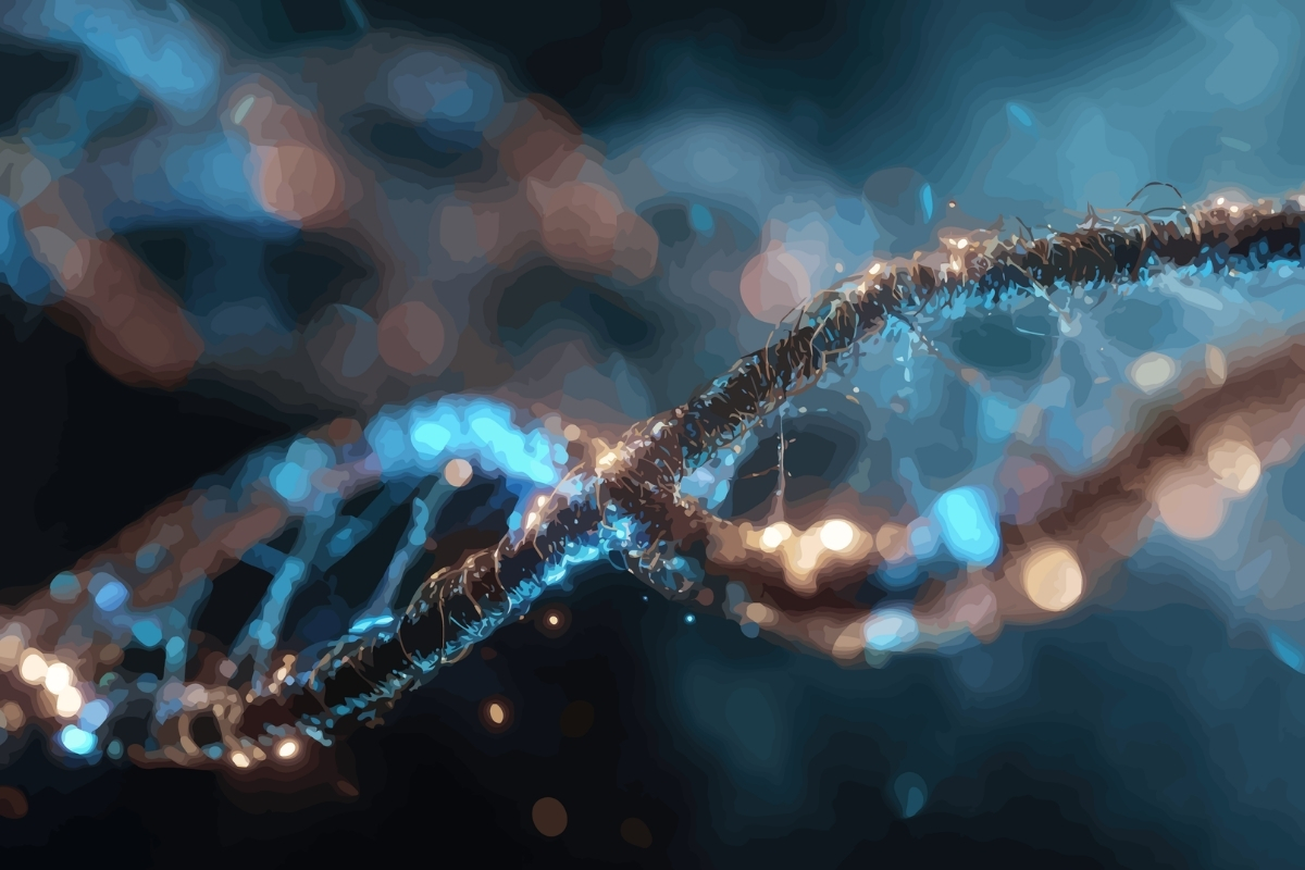 Białko P53 – klucz do ochrony DNA i zapobiegania nowotworom