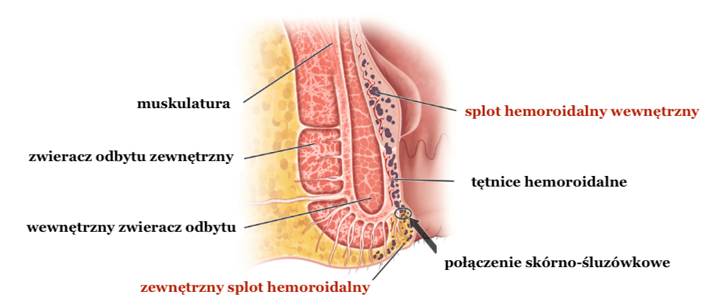 snimka-obrazovky-2024-04-04-o-140221-2-1024x560