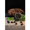 Anise Orient dumbells